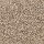 Godfrey Hirst Carpets: Celestia Steeple